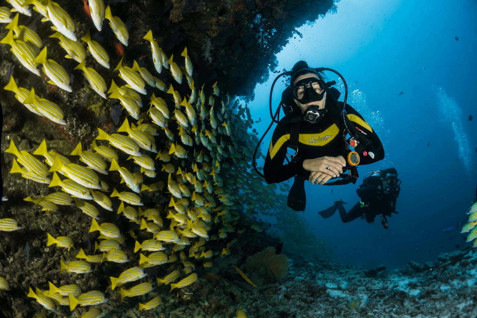 Diver exploring the ocean